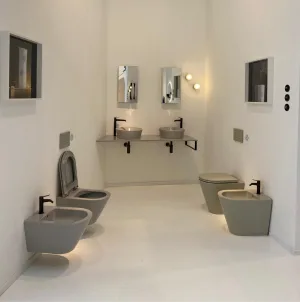 Terra Curve Toilet
