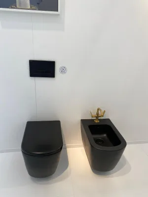 Obsidian Curve Toilet